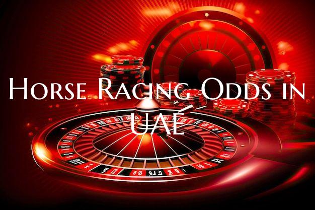 Horse Racing Odds in UAE